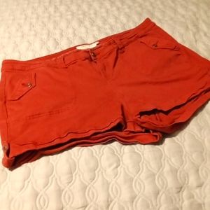 Torrid First at Fit Dark Red Rolled Hem Cotton Shorts